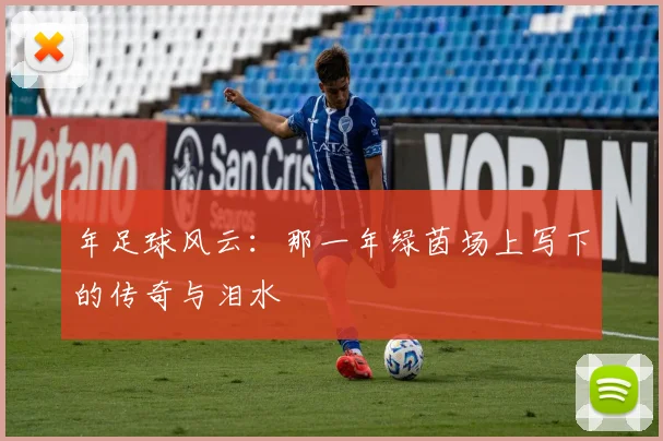 年足球风云:那一年绿茵场上写下的传奇与泪水