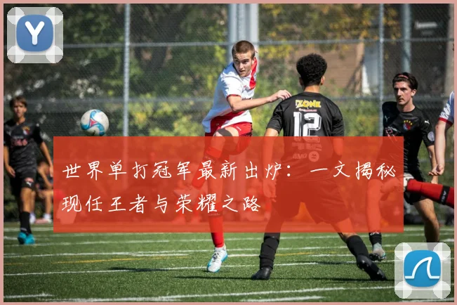 世界单打冠军最新出炉:一文揭秘现任王者与荣耀之路